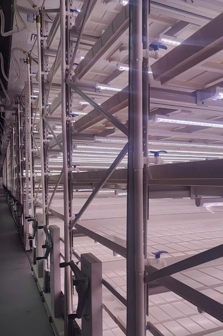 vertical grow rack system vertical grow rack system