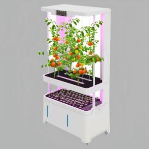 productcate-300-300