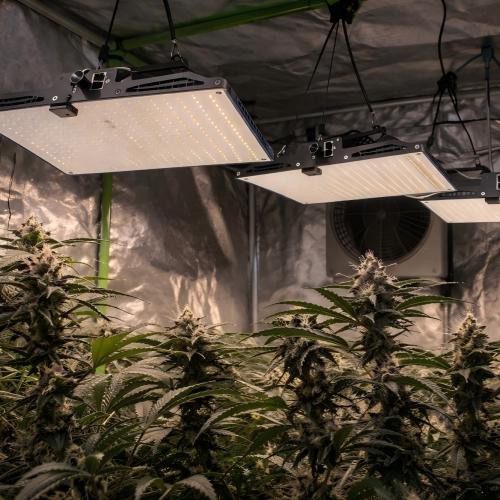 productcate-500-500