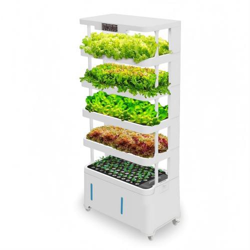 productcate-500-500