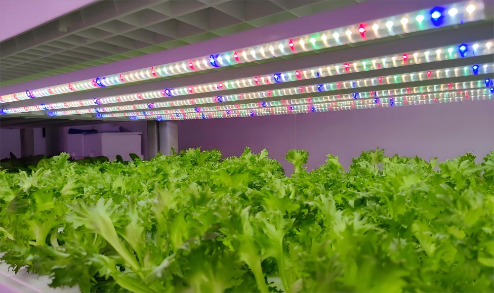 hydroponic grow lamps hydroponic grow lamps
